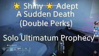 Destiny 2 Solo 🌟 Shiny 🌟 adept sudden death double perks