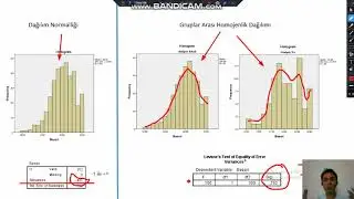 SPSS ile Bağımsız Örneklem t-testi 1