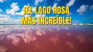 Las Coloradas Yucat&aacute;n: El incre&iacute;ble lago rosa de M&eacute;xico | Gu&iacute;a r&aacute;pida