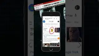google easter eggs