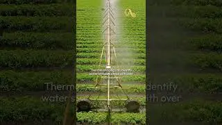 Thermal Imaging: The Future of Smart Farming