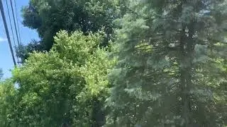 Vermont Sunny Day Wind Storm, June, 2022