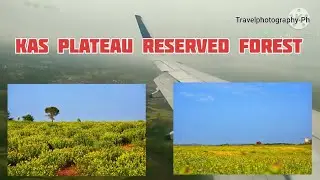 Kaas Pathar || Kas Plateau Reserved Forest || Unesco World Heritage