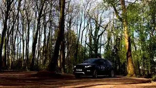 Cranmore tower dji phantom 3 professional drone