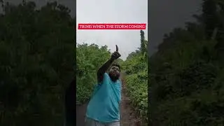 TRINIS WHEN THE STORM COMING ⛈️⛈️ #trinidad #trinitiktoker #boredteacher #stephon23 #storm