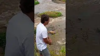 Pesca de molinete