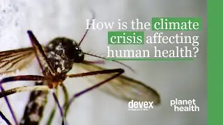 How is the climate crisis affecting human health?