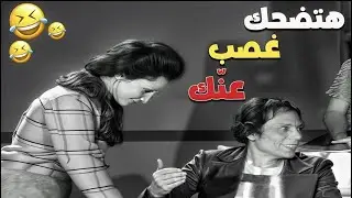جهز نفسك    اللي جاي هيخليك تضحك غصب عنك! 🤣🔥