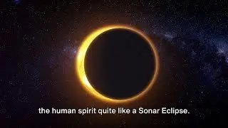 Understanding the Solar Eclipse: Before, During, and After in Florida