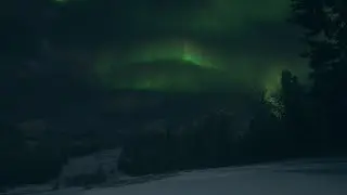 Pelataan uudessa kartassa! | theHunter: COTW Suomi