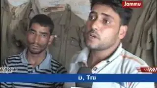 Poppy fields seized in J&K