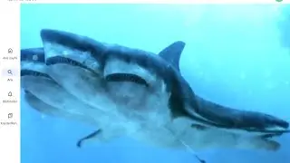 5 HEADED SHARK ATTACK SONG 