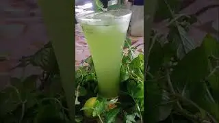 Refreshing summer Drinks