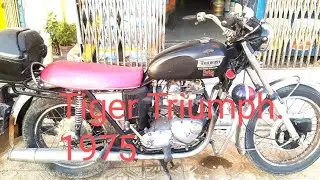 Tiger triumph 750