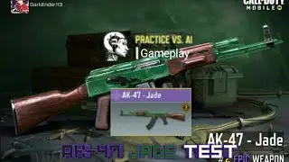 Call of Duty: Mobile - AK-47 Jade Gameplay in Practice vs A.I