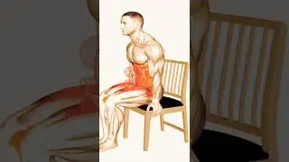 Conquer the L-Sit on Chair: A Step-by-Step Guide to Core Strength and Stability