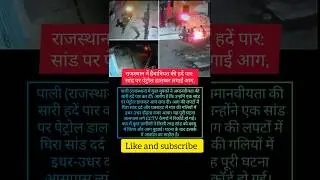 Rajasthan Horror: Bull Set on Fire After Petrol Attack#news #viralvideo #trending #rajasthan #bull