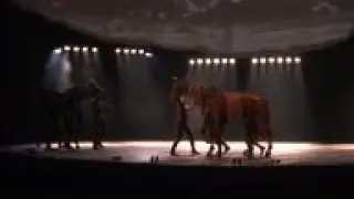 A look at the latest version of hit stage play 'War Horse,' due to open in Paris Friday