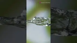 Get FREE Clean Water in 45 Seconds! 💧 #OffGridHacks