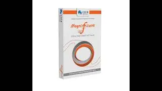 Место EDOF ИОЛ Magnificent/Magnificent toric в моей клинической практике