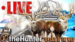 Let's Beat the Heat ☀️ with a Mule Deer Great One Grind! ❄️ (Too Hot for Puns) LIVE