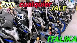 ‼️Arranca 2026 Con MOTO NUEVA🏍️🛵 #italika #hero #morbidelli #benelli 