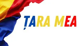 BearMusic - Tara Mea