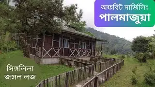 Palmajua | Offbeat Darjeeling | Singalila Jungle Lodge | Palmajua Birding | পালমাজুয়া