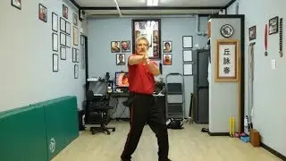 Hill Wing Chun First Two Forms