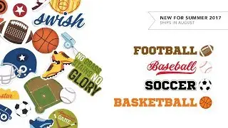 SPORTS MINI COLLECTIONS | Summer 2017 New Release