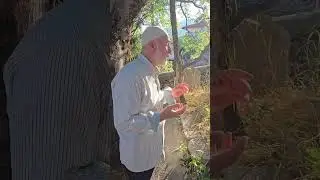 Barlada Ziyaret Edilecek Kabristan Listesi