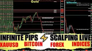 live trading💎 crypto | XAUUSD | Forex 💎🔥 CMBM Bot v1 &mdash; Built to Win in Every Market