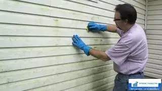 Mold Remediation - Promotional Videos by IMS Studio
