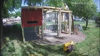 Chicken Coop with run, Day 14