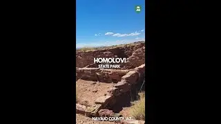 HOMOLOVI