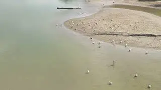 B&ouml;lcske Duna Sir&aacute;lyok B DJI 20240820145806 0159 D