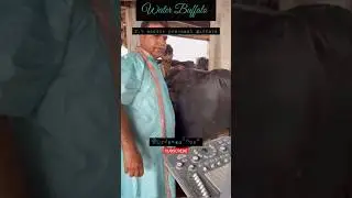 ultrasound of water buffalo for pregnancy Check up #animal @DrJavedKhoso