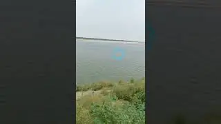 😮😮 Dolphin Ganga River m 😐😐#shorts #shortsfeed