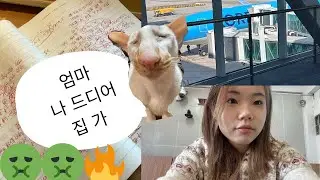 중국유학생의 미쳐버린 시험기간 브이로그+귀국😍🇰🇷|종강