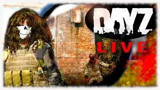 Late-Night Survival | Every Move Matters in DayZ