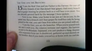John 15 (full audio reading, no commentary)