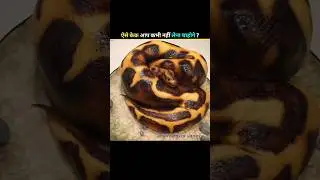 Some of the weirdest cakes in the world !! #ytshorts #cake #facts