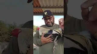 Demasiada humedad  (el sincho no esta apretado)saludos feliz navidad 