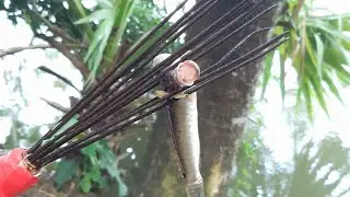 Amazing Tata Fishing Best #short