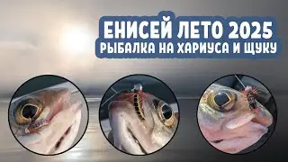 Рыбалка на Енисее в компании с 