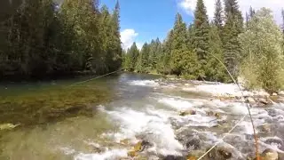 Ловля рыбы нахлыстом на реке Салмо
