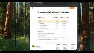 free API testing tool Bruno for Mac and windows  