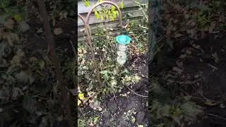 1 De Planten zaaibak