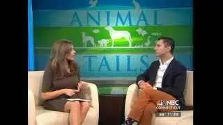 Pet Disaster Preparedness