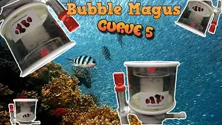 How to tune the bubble magus (Curve 5)